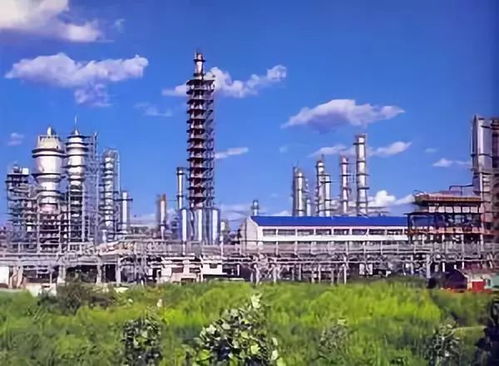 创新驱动发展，我市企业以技术开发放大智造力量